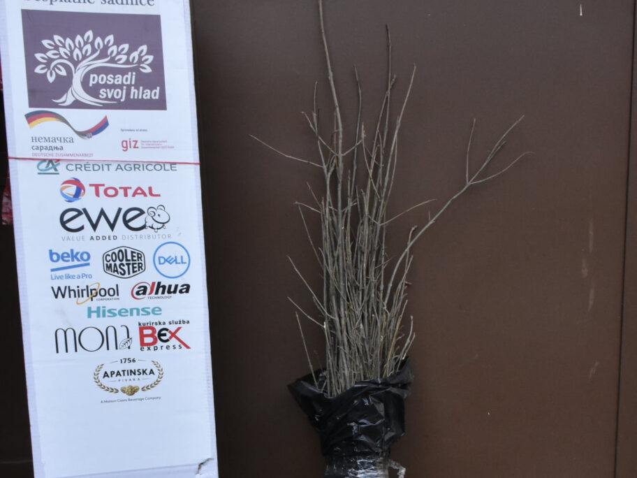 170362887 6391769147524867 6658485861641687936 n