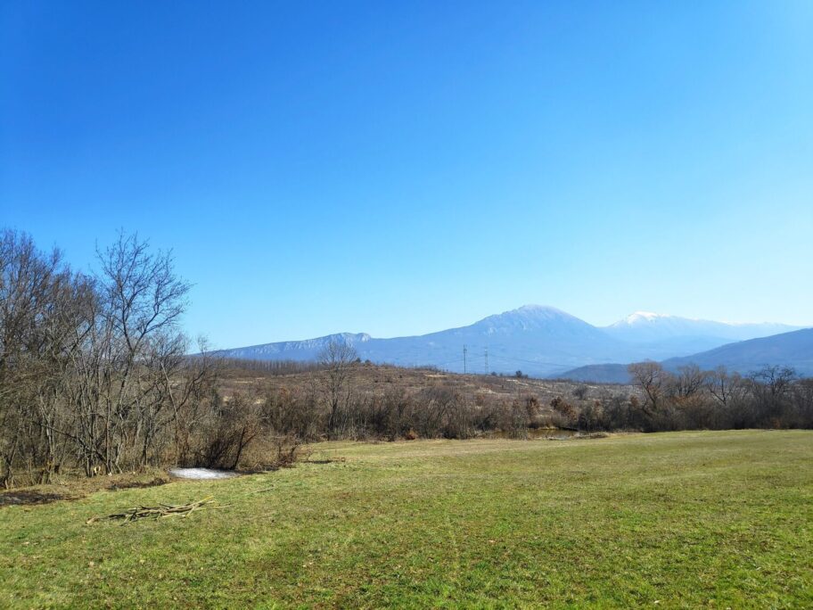 1618155357700 scaled