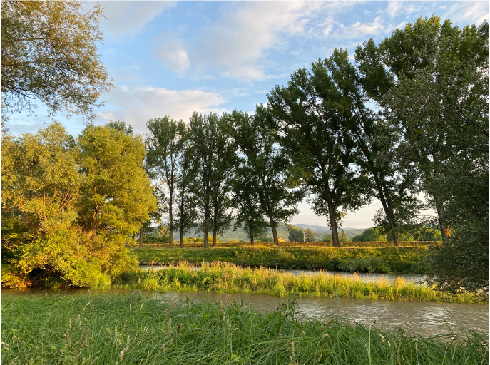 Čišćenjem obale Nišave pored mosta u Brzom Brodu počinje uređenje Kreativnog kampa 11 8