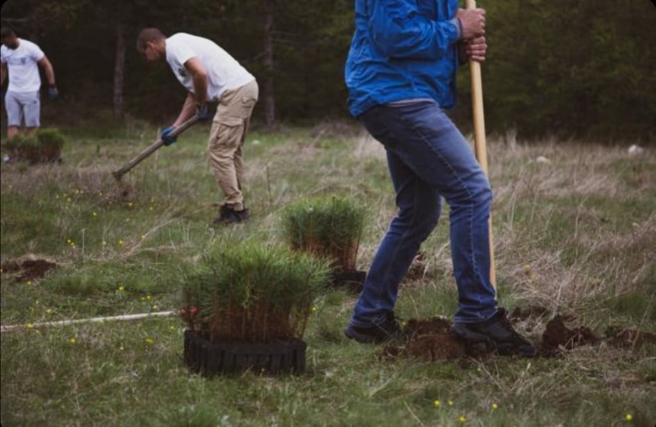 178375767_272189634586319_3845795008937448819_n