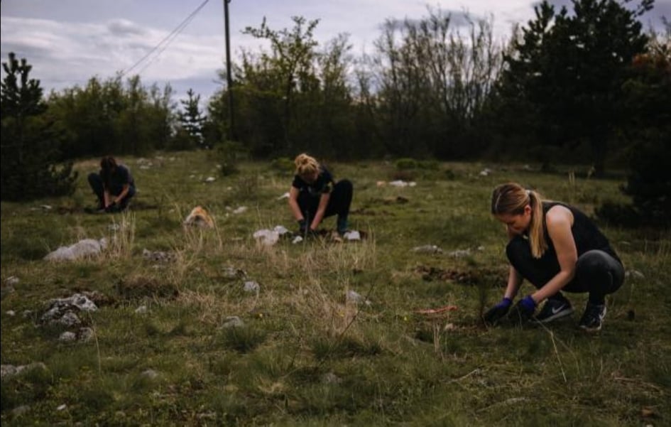 177382463_809175256377335_5973823898808877571_n