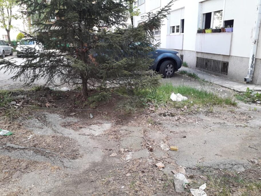 181875578 131926272296396 2000837047088601874 n