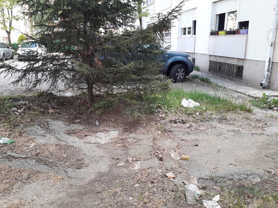 181875578 131926272296396 2000837047088601874 n