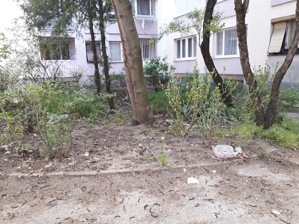 akcija čišćenja foto Zeleni zid Nis