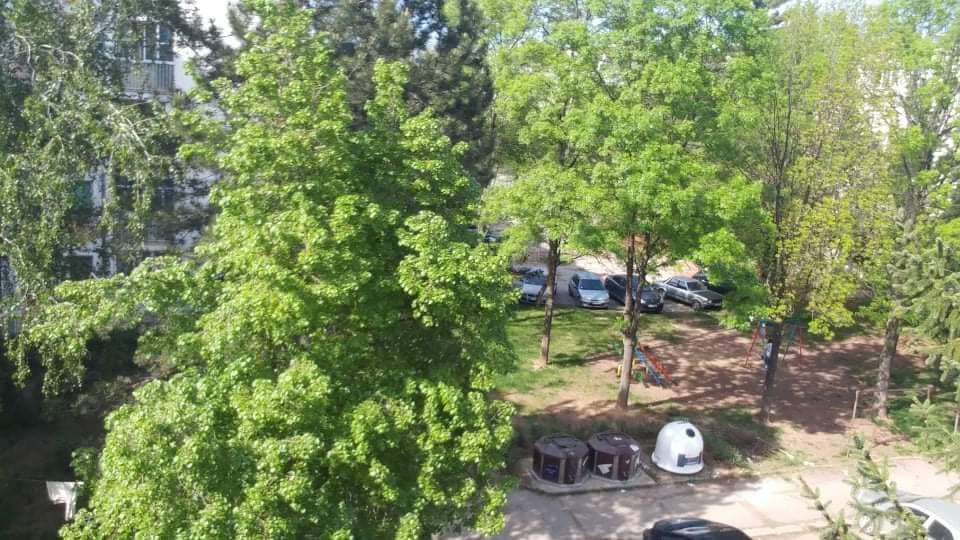 akcija čišćenja foto Zeleni zid Nis