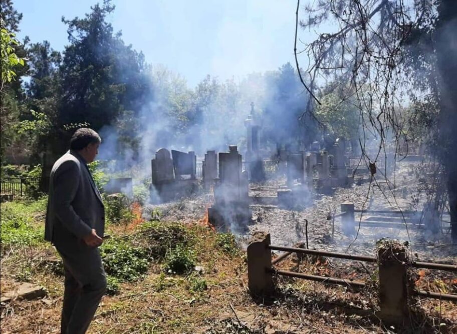 Gorelo nisko rastinje na Starom groblju u Nišu 18 183899966 305763321010280 3219528712334914740 n