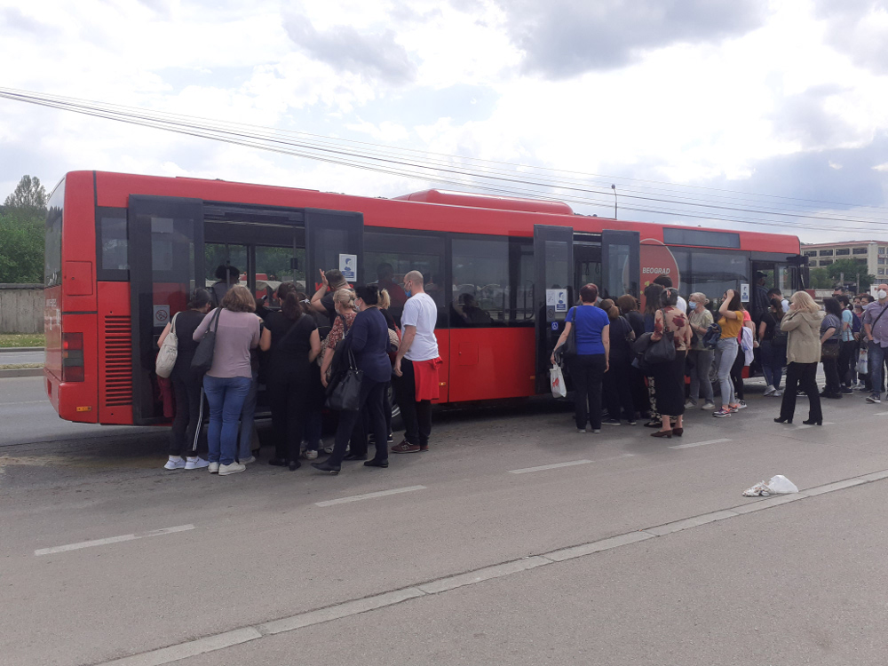 Letnji red vožnje problem za Nišlije, na stajalištima se čeka autobus u koji može da se uđe 1 guzve stajalista3 foto tr