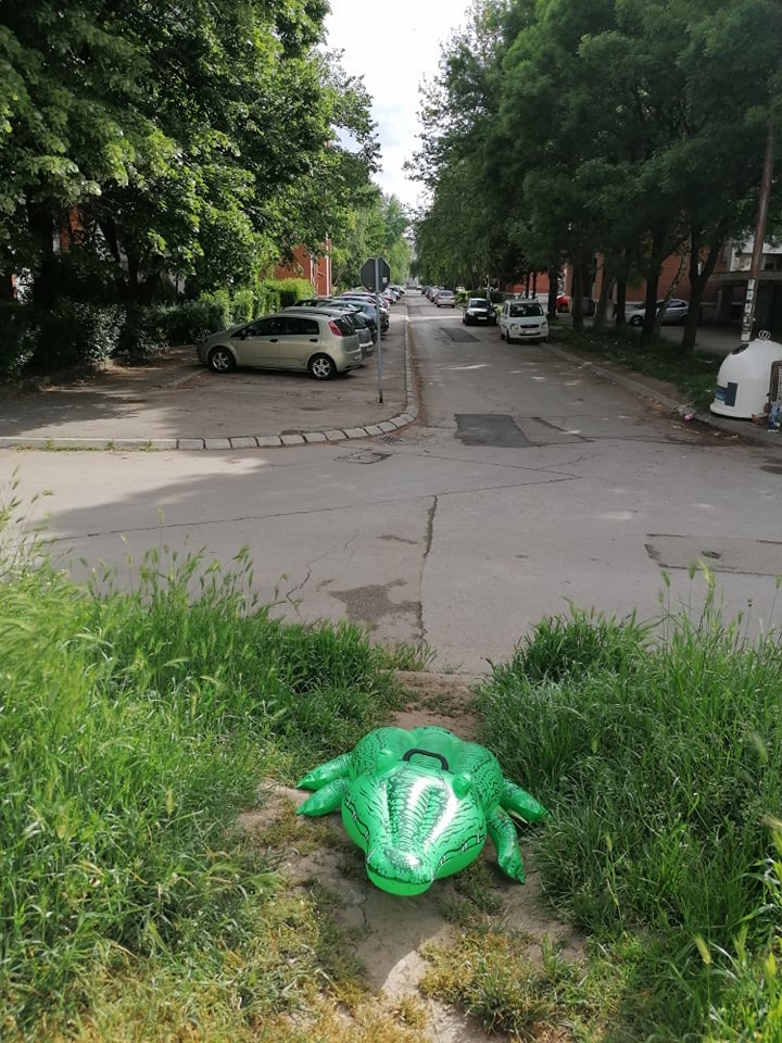 krokodil mile foto Urbana gerila Nis