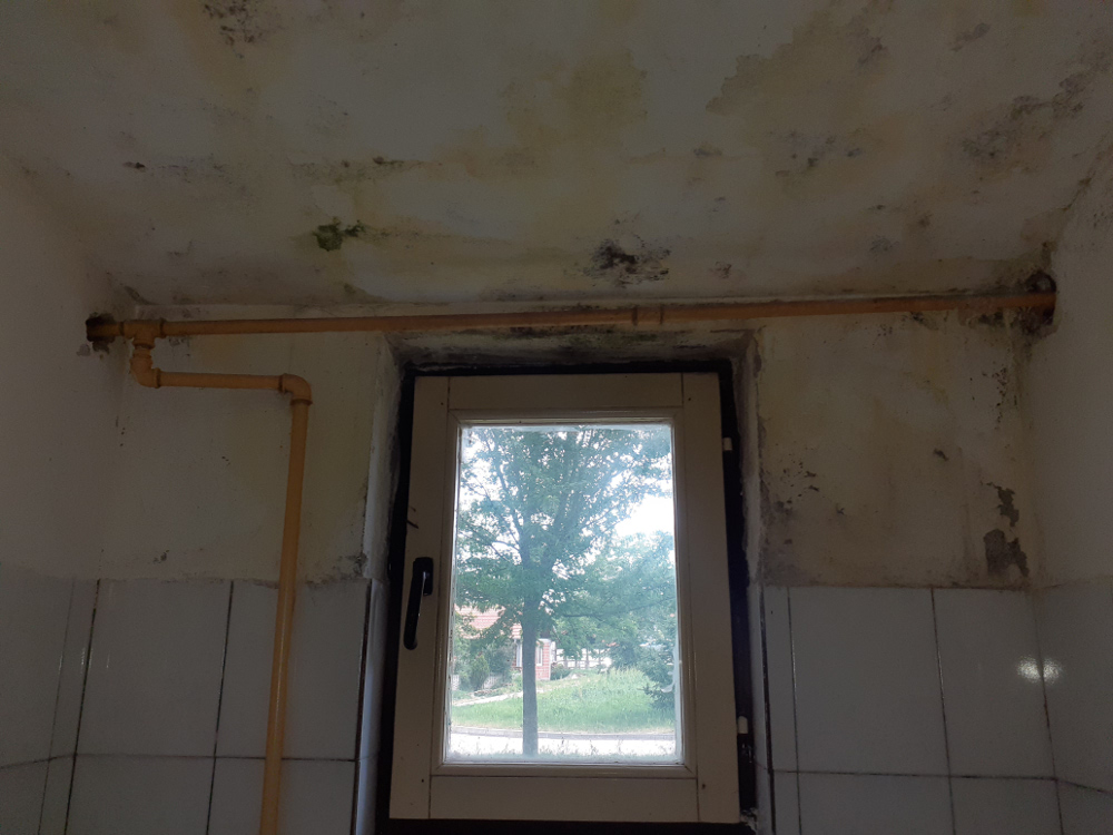 predskolsko-pasi-poljana2-foto-tr