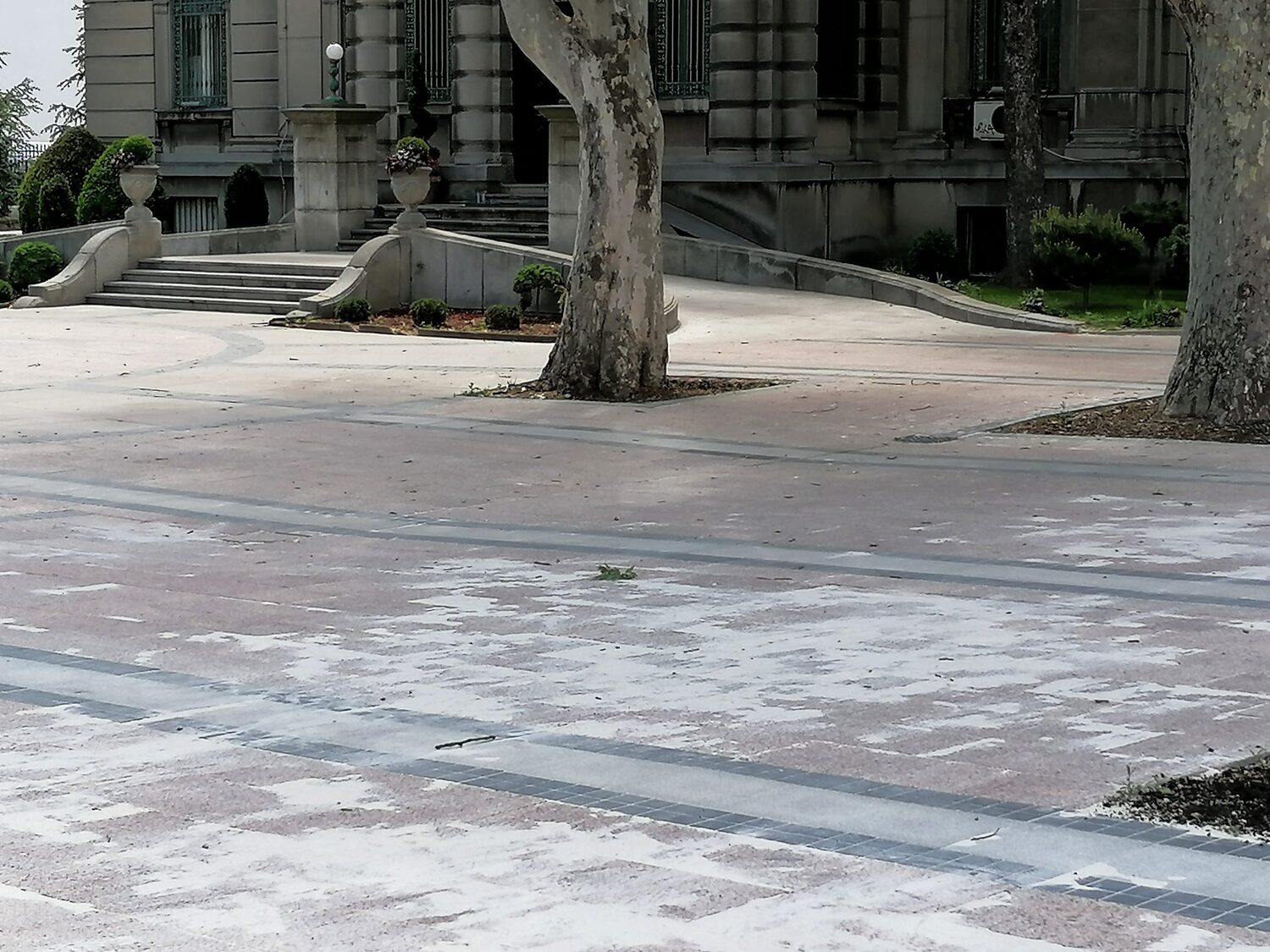 rekonstrukcija trga foto Uros Kostic