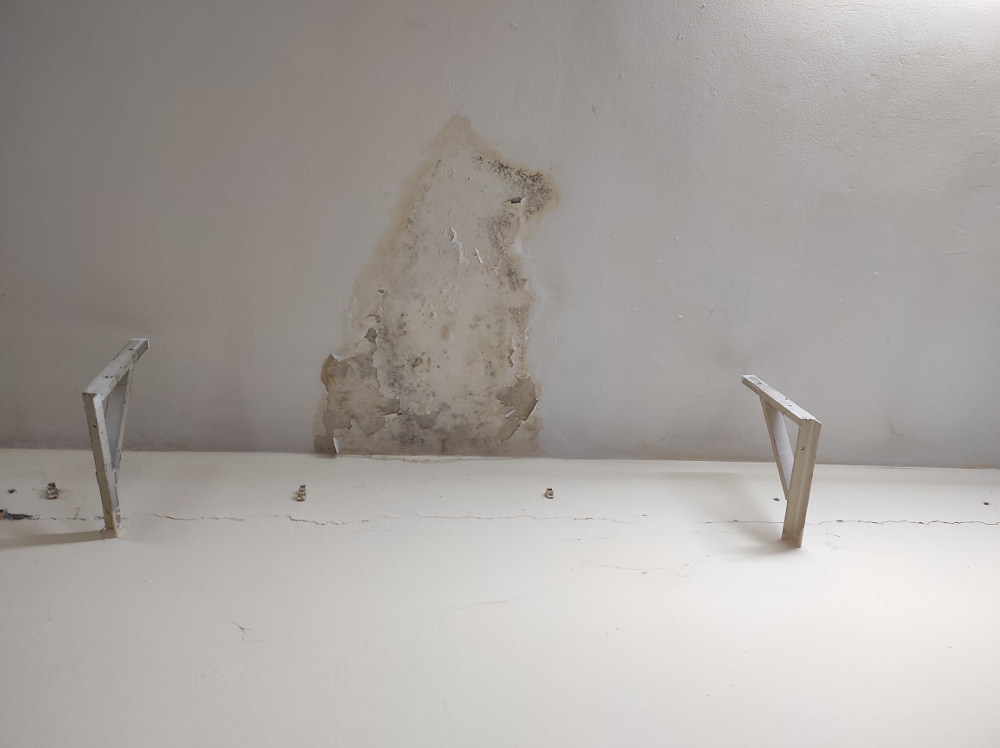 udruzenje-rentgenova4