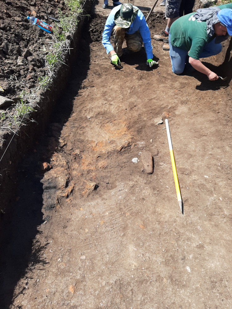 bradarac-iskopavanja-foto-dm