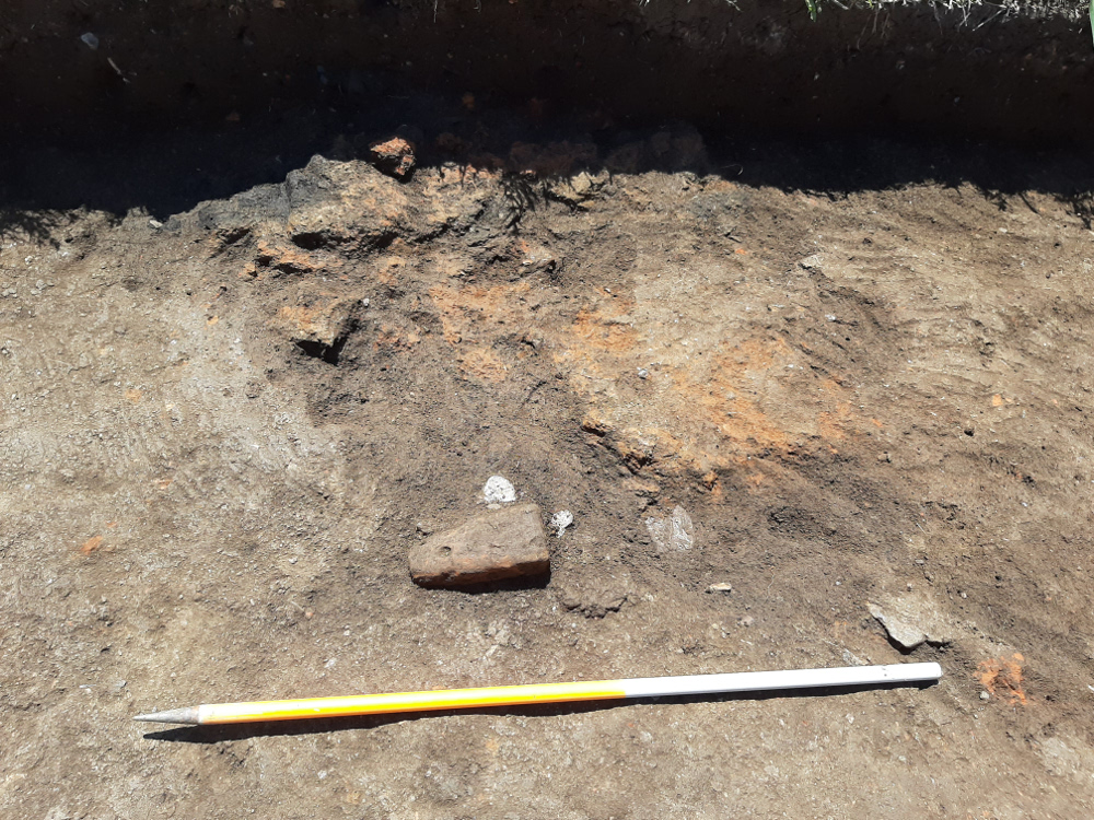 bradarac-iskopavanja2-foto-dm