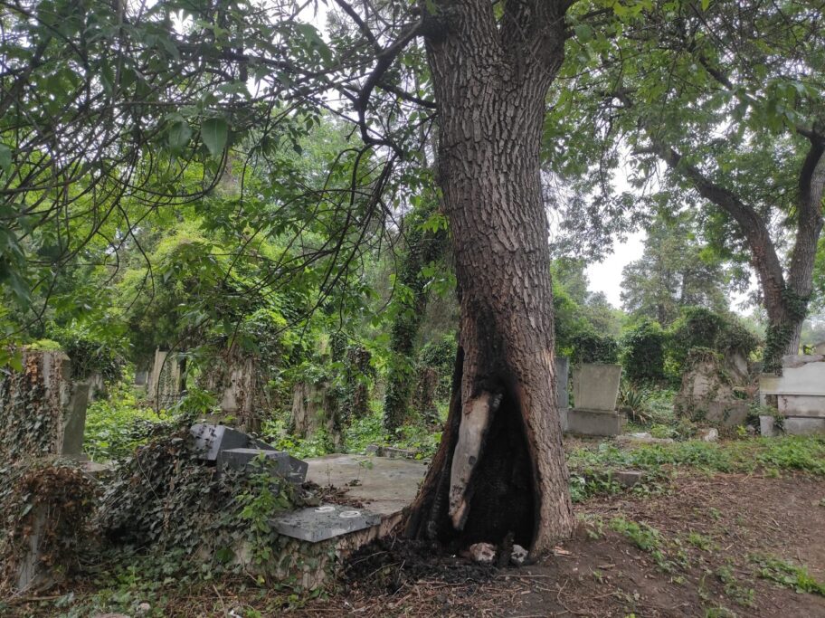 Ponovo požar na Starom groblju u Nišu 17 IMG 20210528 113137 scaled