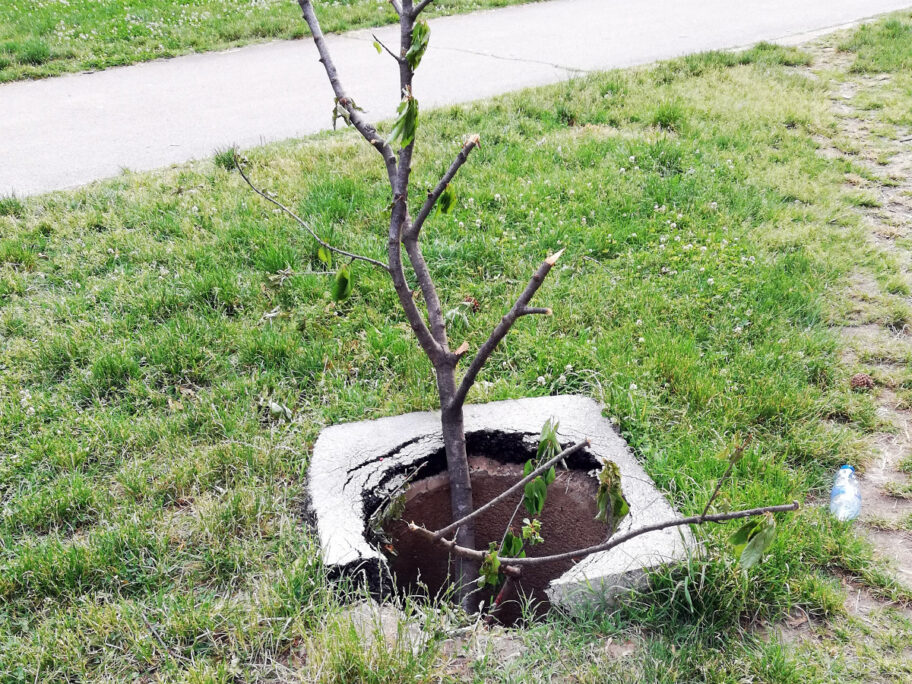 Otvoren šaht iza “Zone 2” u Nišu rizik za prolaznike 15 saht foto citalac