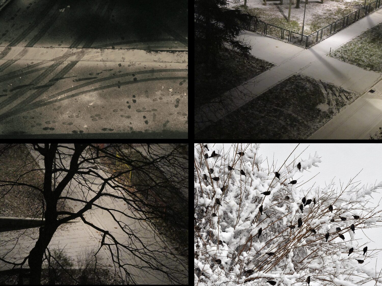 Izložba o Beogradu "Soba sa pogledom" u niškom Oficirskom domu 1 Prvi sneg Goranka Matic scaled