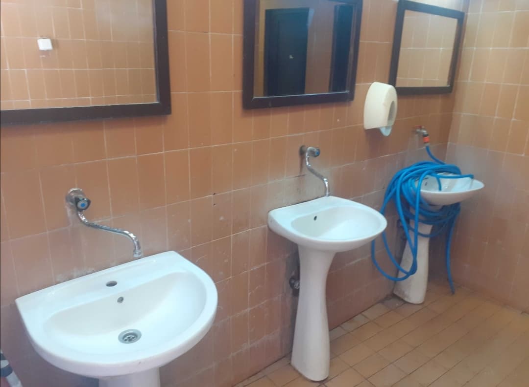 199649485_973584010057084_2749016763047892731_n