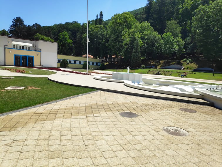 196262680_3604756426416067_4031445862752421517_n