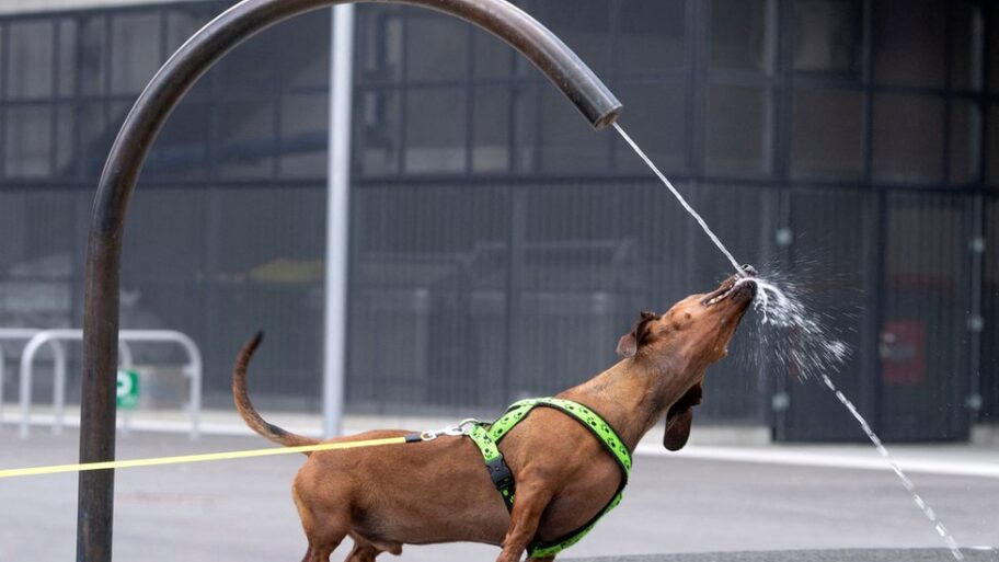 119034289 gettyimages 1233339247