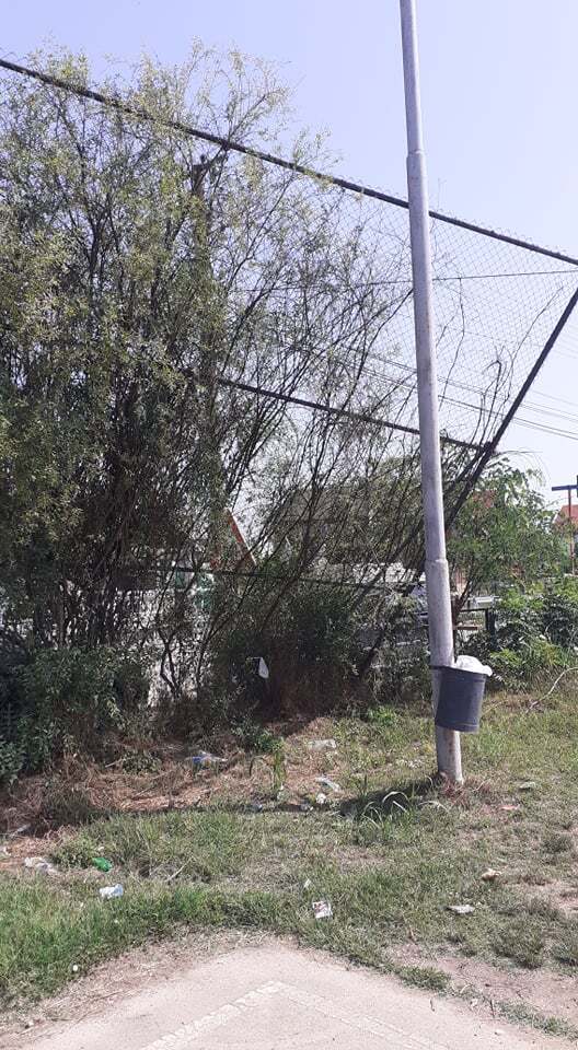 205345883_235388778124860_2748073720255436758_n