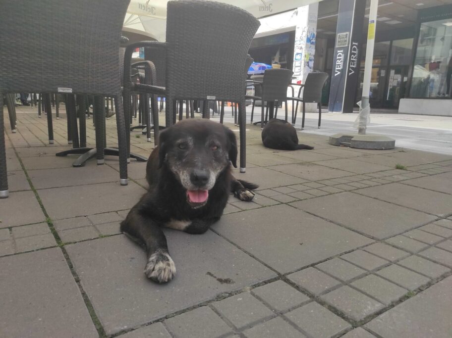 IMG 20210624 100821 scaled