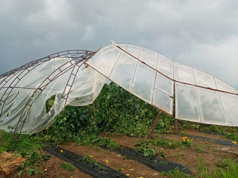 Nevreme i grad napravili veliku štetu poljoprivrednicima u okolini Leskovca i Vlasotinca 11 received 517984959514414