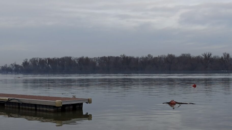 119088514 dunavzemun nemanjamitrovi5