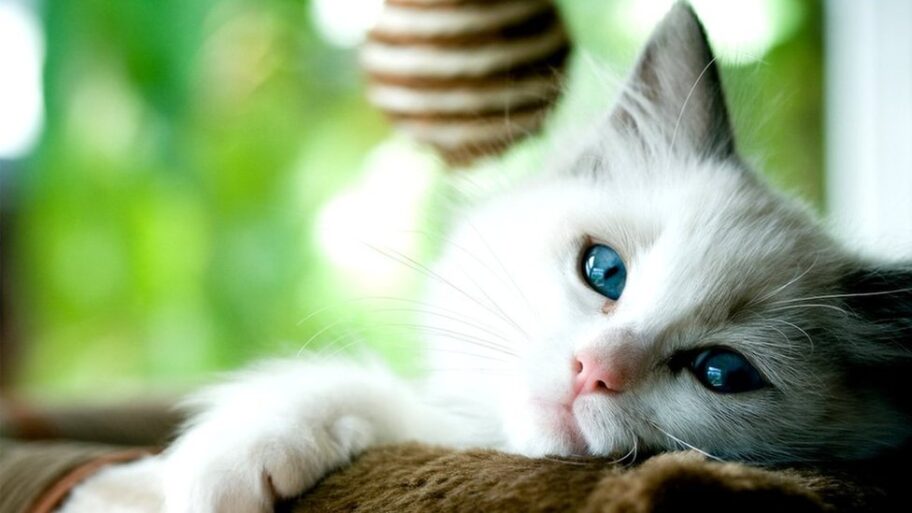 118158928 gettyimages 507245091