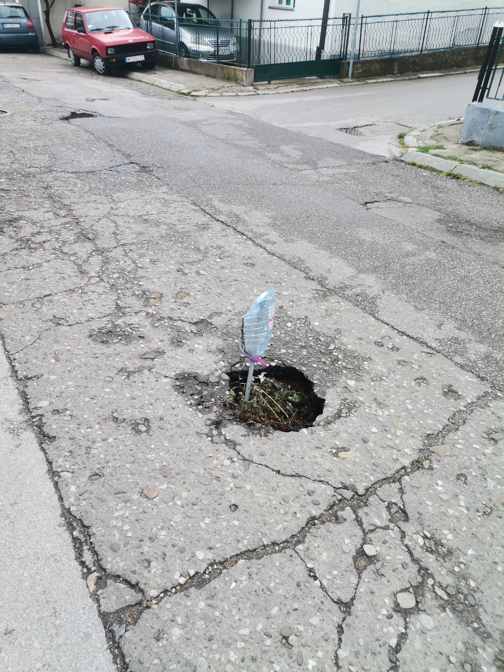 malojastrebacka-foto-citalac