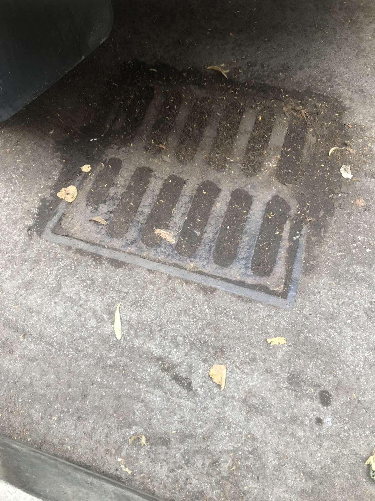 zapusen-slivnik-foto-citalac