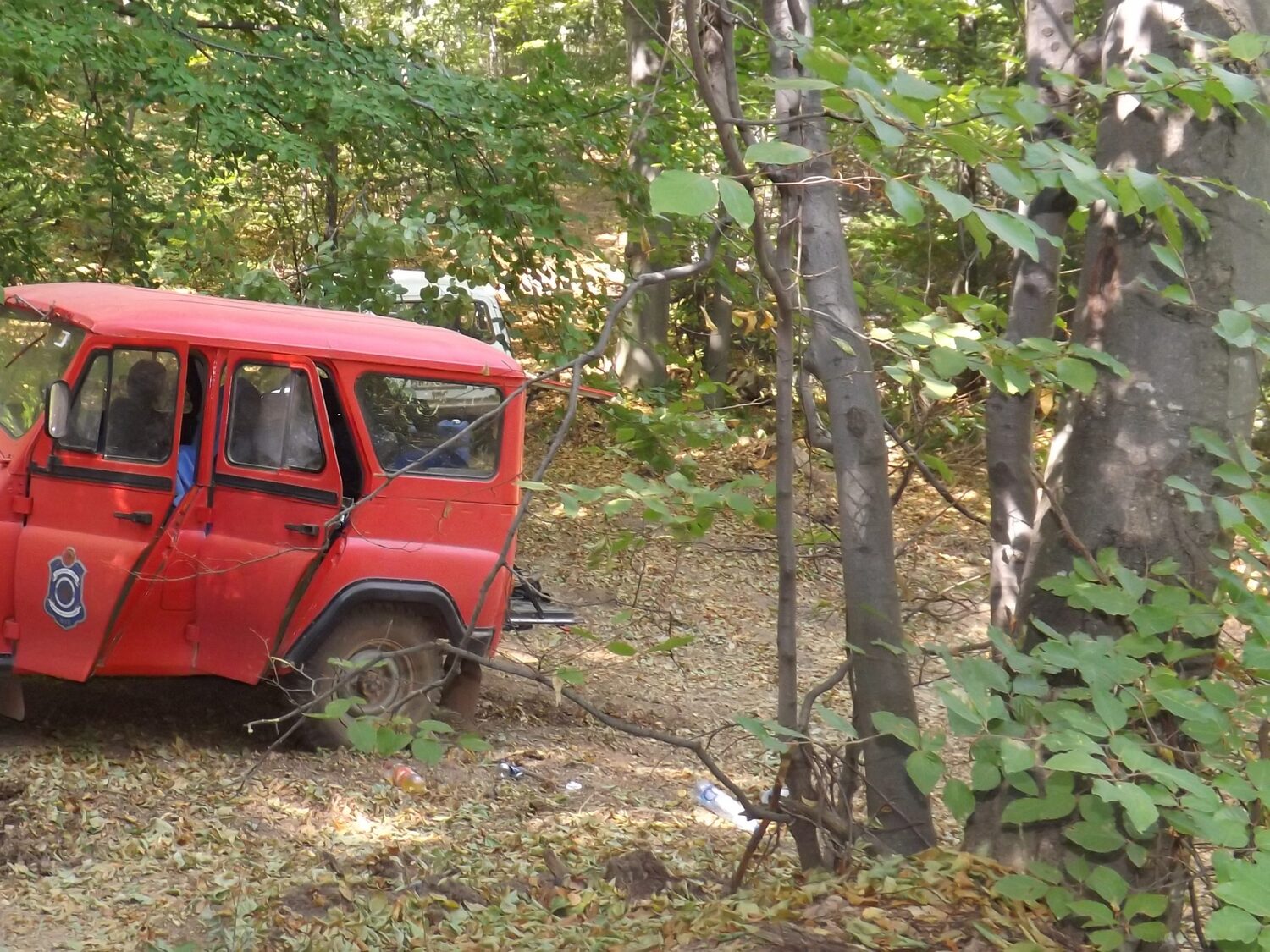 spasioci suma KOSTA scaled