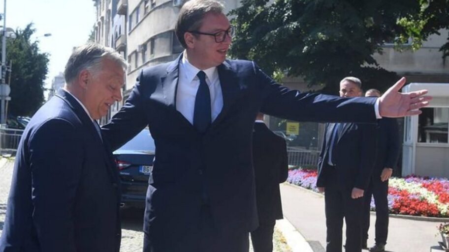 119309894 vucicorban1