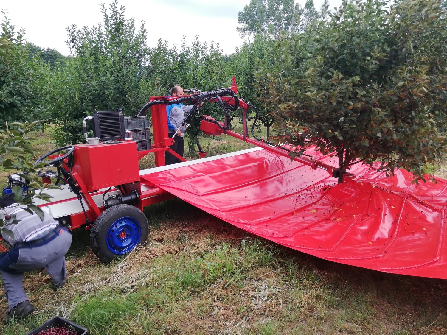 "Nectar" ustupa tresače višanja za berbu 1 3 2