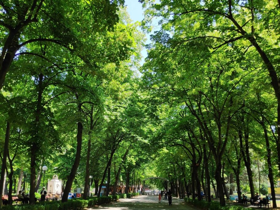 Webp net resizeimage 1