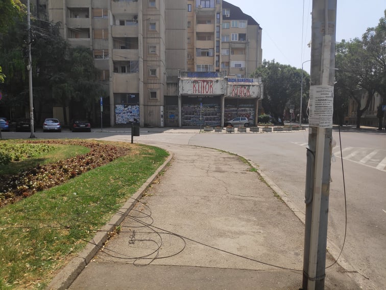 211924505_239146484504170_7007255274099738954_n (1)