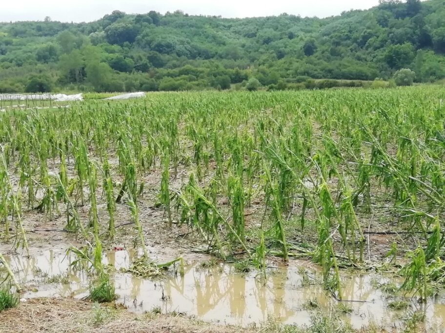 Ukinuta vanredna situacija nakon nevremena na teritoriji 12 lebanskih sela 15 lebane2 fotoMM scaled