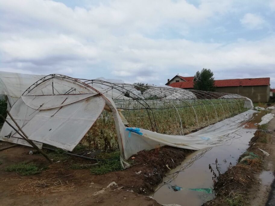 plastenici lebane fotoMM scaled