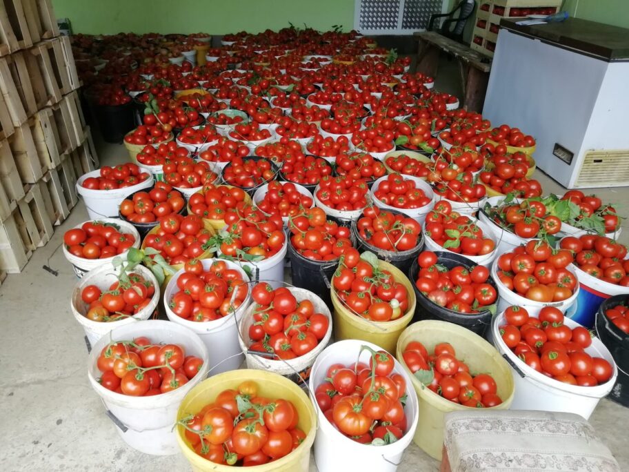 IMG 20210719 112838 scaled