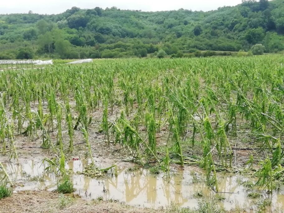 1280x0 lebane2 fotoMM