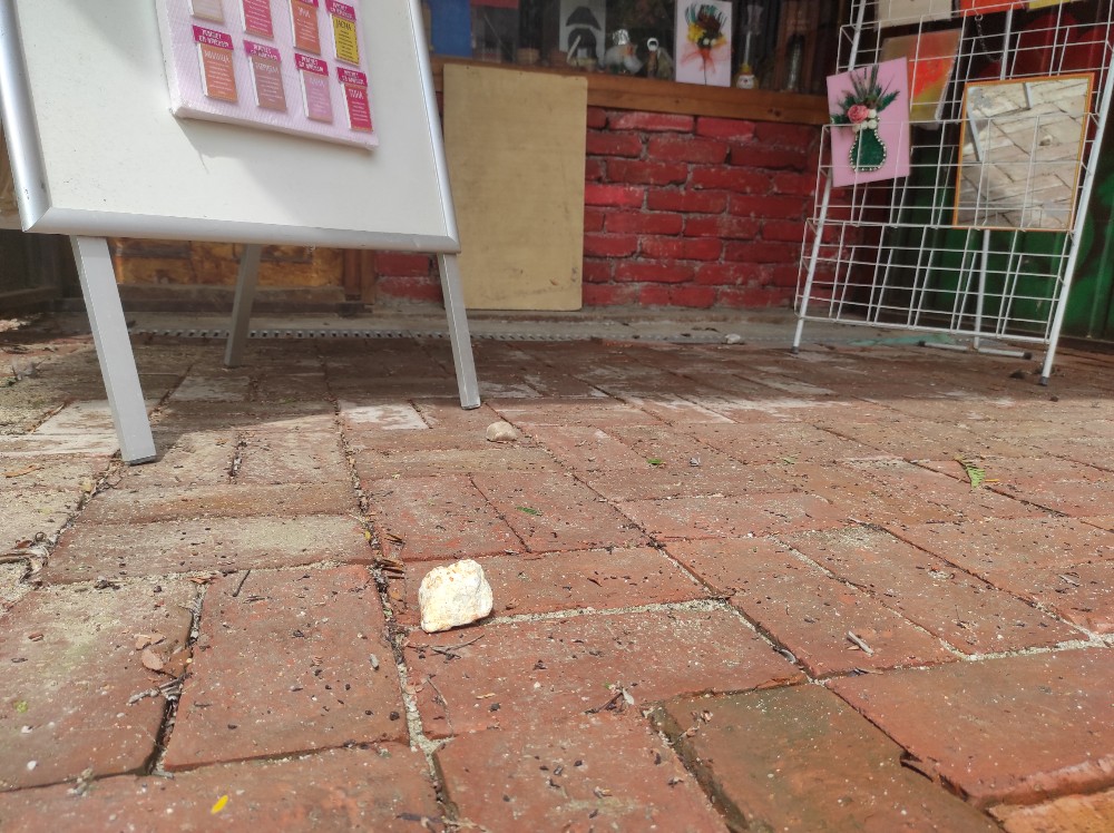 kamenice jos uvek zavrsavaju u izlozima