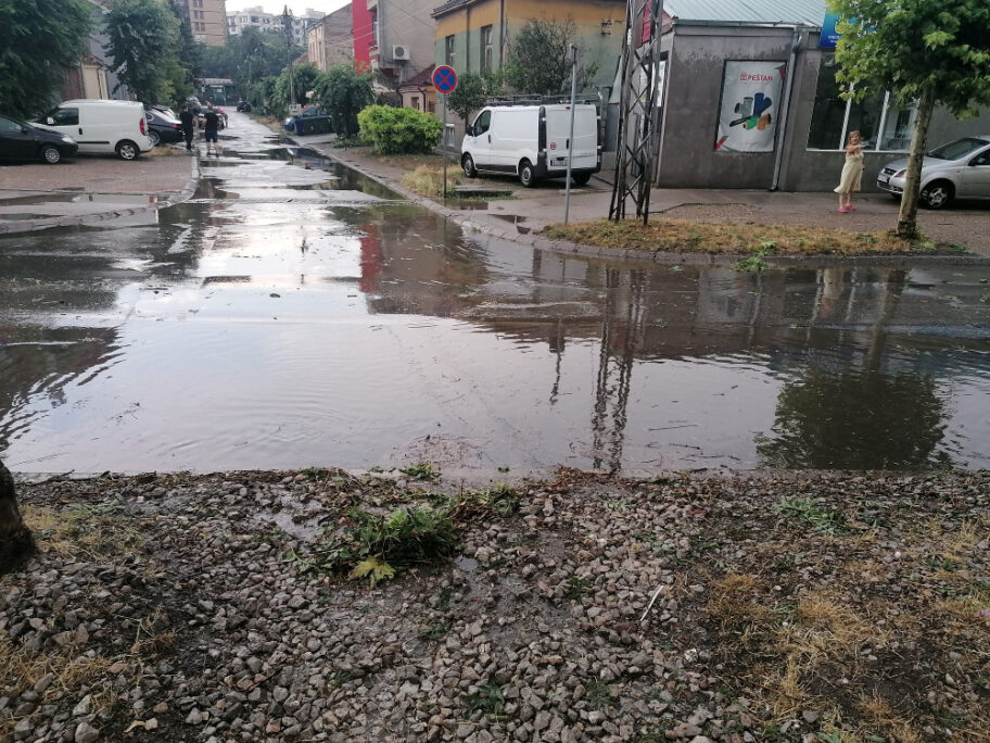 vojvode gojka foto citalac