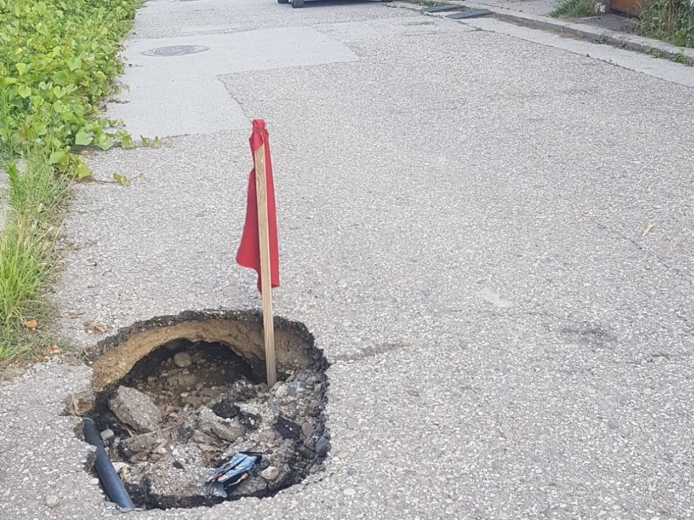 Zastavica i grane "izviru" iz udarnih rupa u Durmitorskoj i Ulici Miloša Crnjanskog 1 rupe