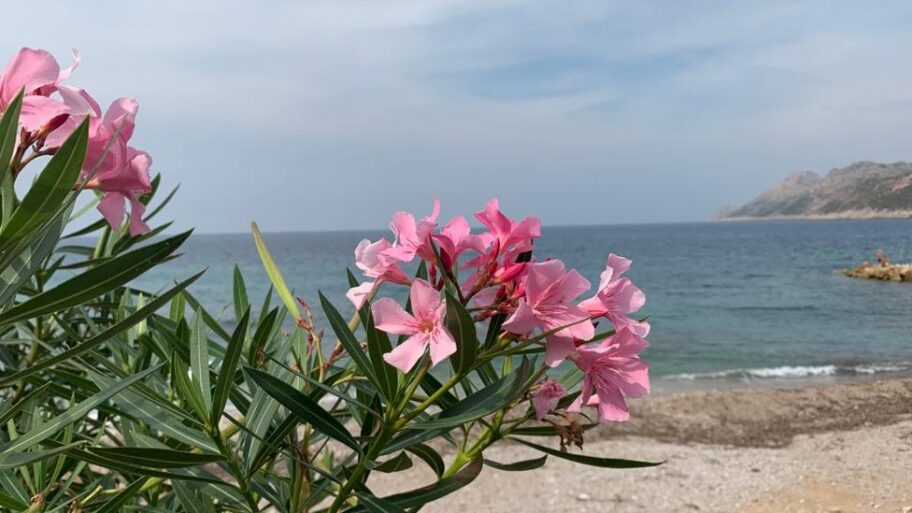 119575124 img 20200922 wa0022