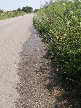 kanalizacija pasi poljana