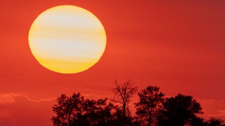 119629764 gettyimages 1233960564