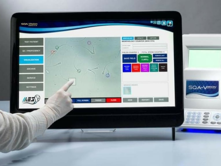 231309677 901403783919492 3287039936111824081 n