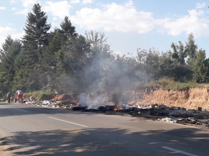 232262763 208550007790993 2551705358132102431 n