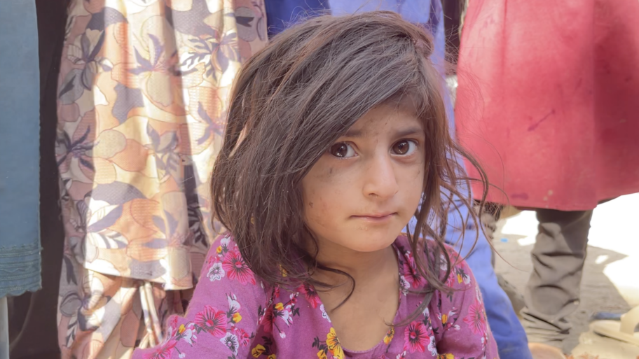 119896008 screenshot2021 08 11at12 59 49