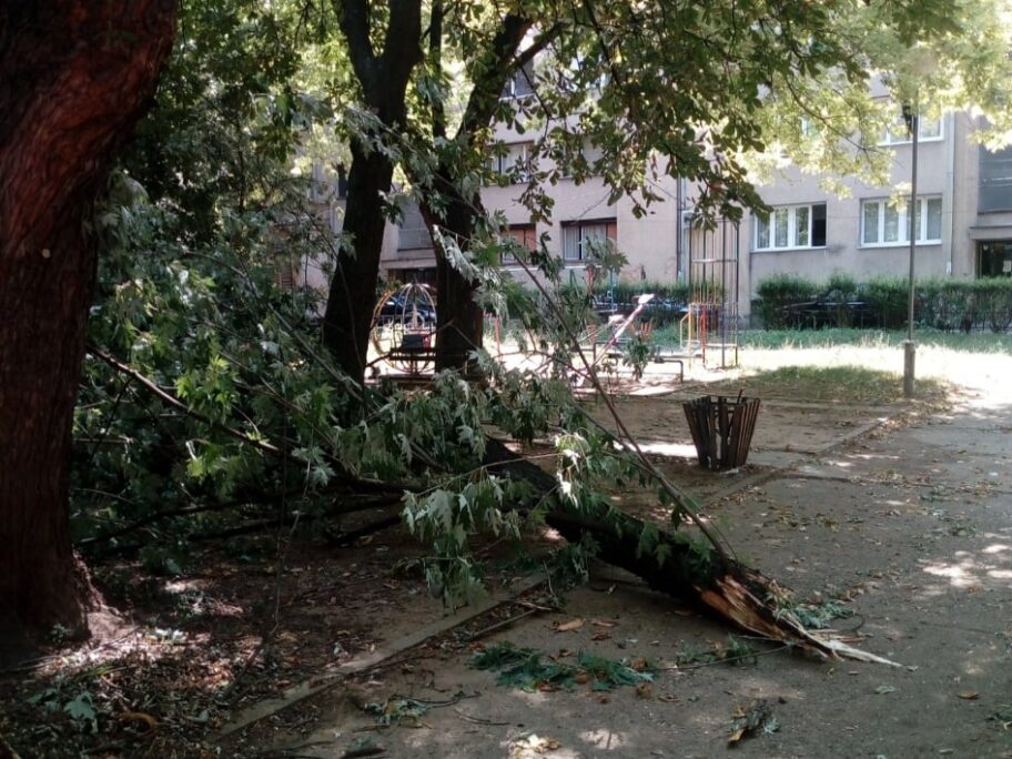 Od jakog vetra pala velika grana na dečije igralište u Ulici Nikole Kopernika 17 229747704 1947355482106215 5051249867467138981 n