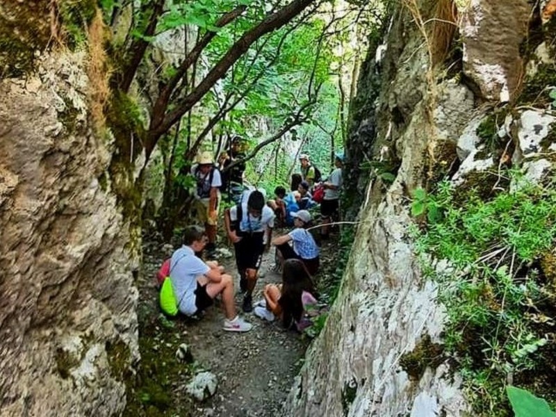 Svrljiški i niški izviđači uvežbavali veštine u prirodi na kampu u Niševcu 6 236890555 205549781553011 7580460477817692119 n